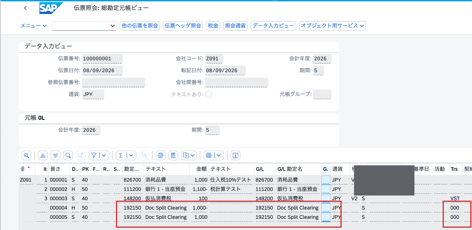 会計伝票100000001の総勘定元帳ビューに表示されたゼロバランス明細